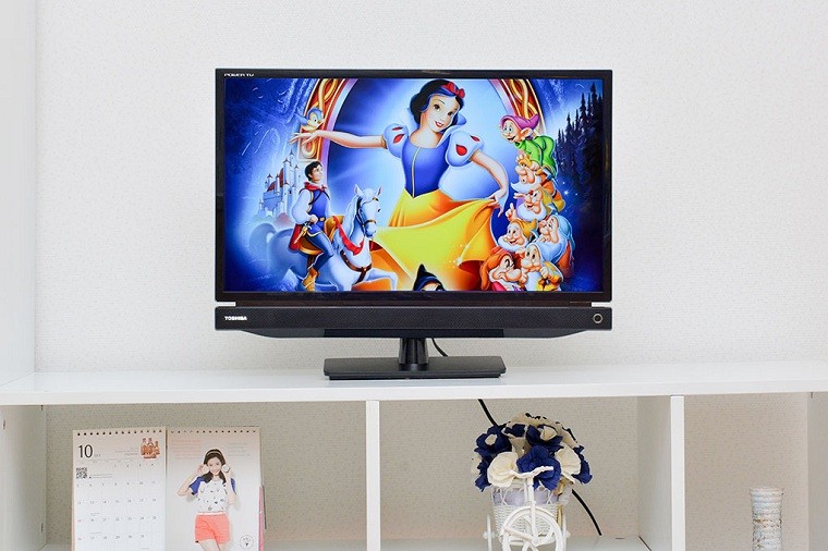 Những lưu ý khi mua tivi mini