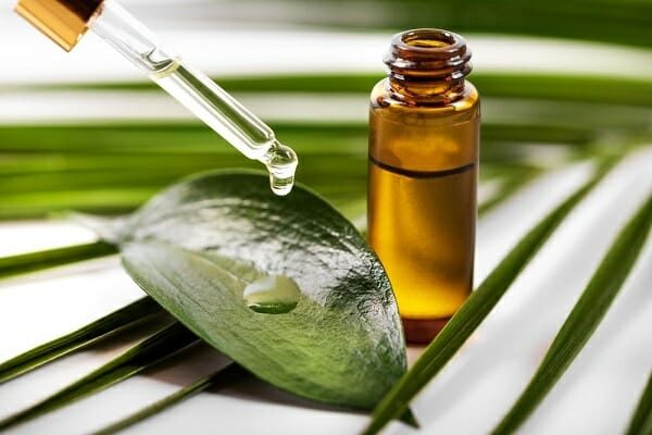 Dầu tràm có được mang lên máy bay không?
