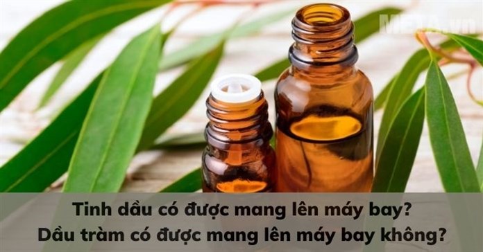 Tinh dầu có được mang lên máy bay? Dầu tràm có được mang lên máy bay không?
