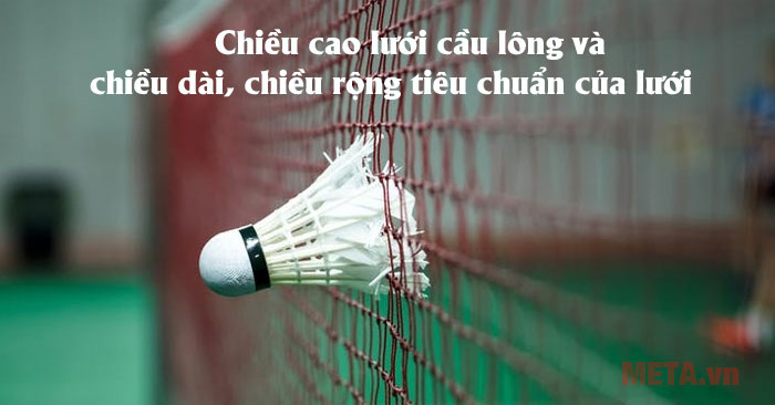 Chiều cao lưới cầu lông