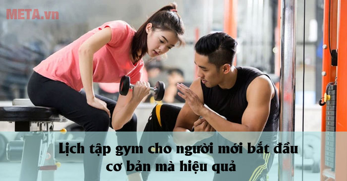 Lưu ý khi xếp lịch tập gym cho người mới bắt đầu