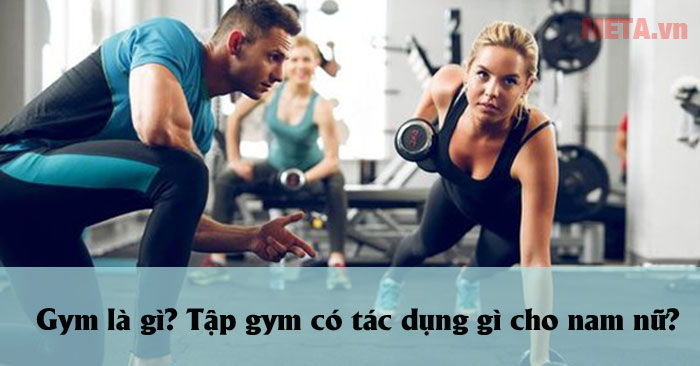 Gym là gì?
