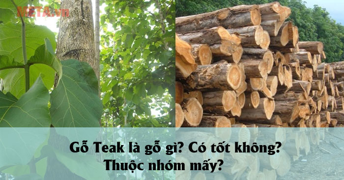 Gỗ Teak là gỗ gì?