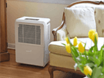 Cách chọn máy hút ẩm theo diện tích chi tiết, hiệu quả