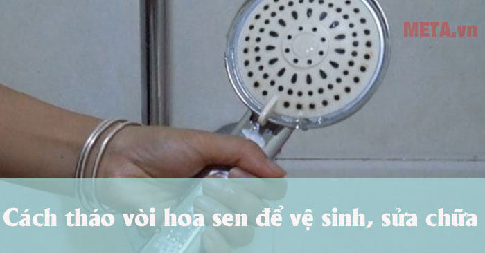 Cách tháo vòi hoa sen