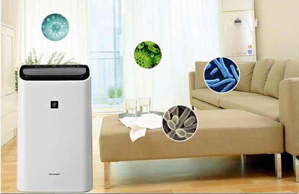 Dehumidifier giúp loại bỏ các tác nhân gây dị ứng