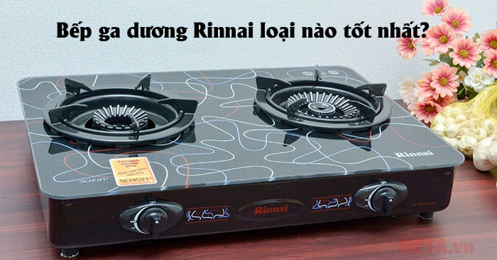 Bếp ga dương Rinnai loại nào tốt?