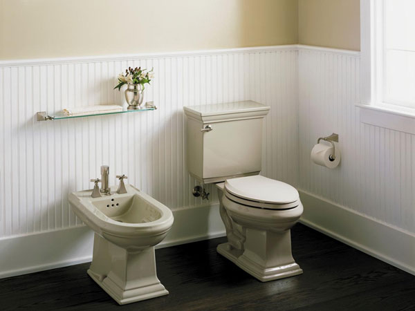 Bidet dạng chậu