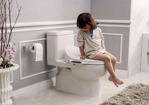Vì sao nắp bồn cầu thông minh Nhật Bản được ưa chuộng?