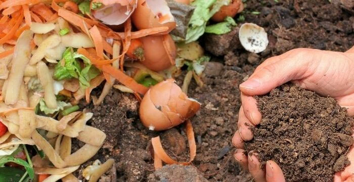 Xử lý rác hữu cơ