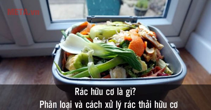 Rác hữu cơ là gì?