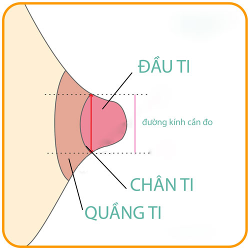 Cách đo size phễu máy hút sữa phù hợp nhất