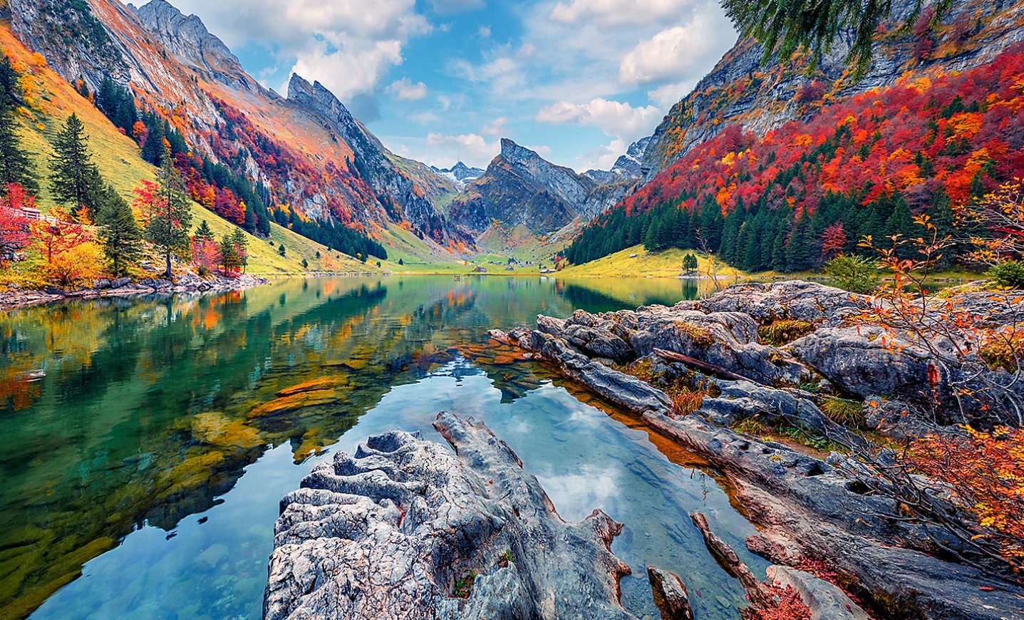 Vi xử lý 4K HDR X1™