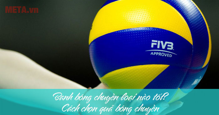 Hướng dẫn chọn mua bóng chuyền phù hợp với nhu cầu