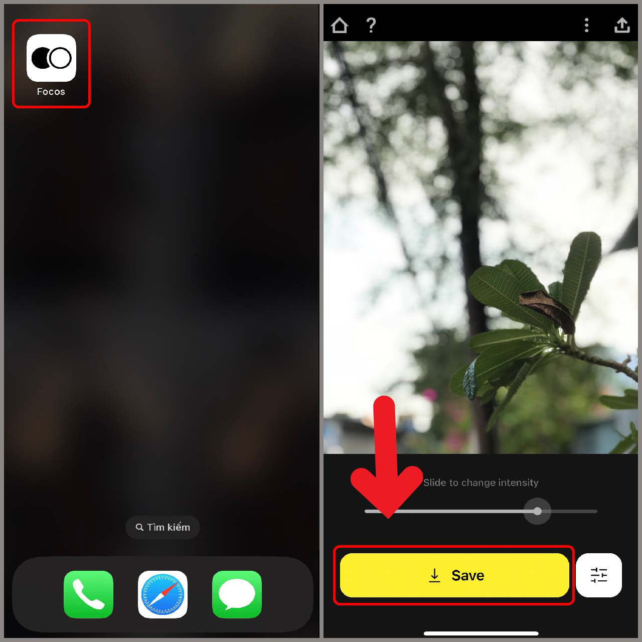 Cách chỉnh ảnh mờ ảo trên iPhone bằng ứng dụng Focos