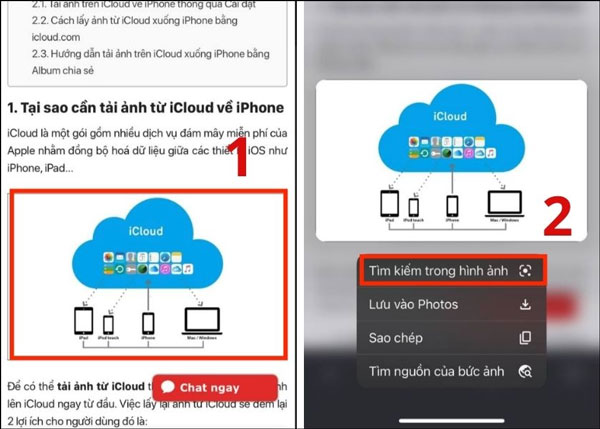 Cách tìm kiếm bằng hình ảnh trên iPhone: Từ hình ảnh trên trang web