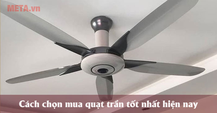 Hướng dẫn chọn mua quạt trần