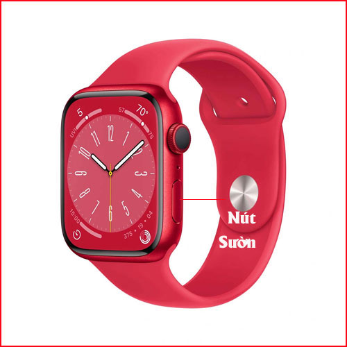 Nút sườn Button