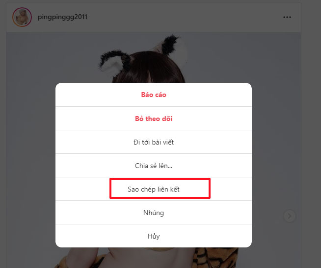 Cách tải ảnh về máy tính từ Instagram