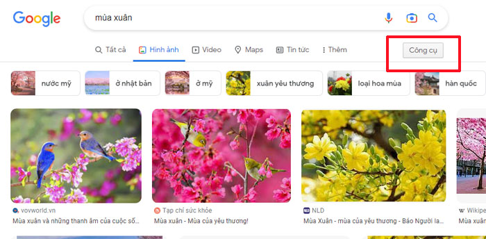 Cách lưu ảnh trên máy tính từ Google Image