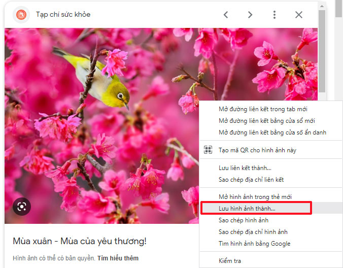 Cách lưu ảnh trên máy tính từ Google Image