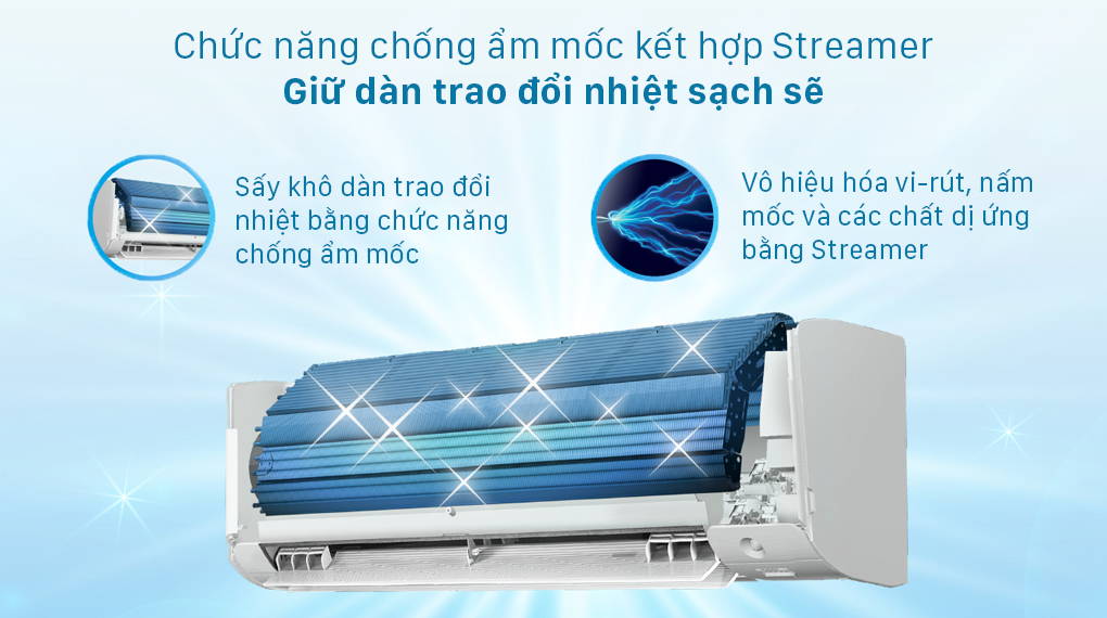 Cách sử dụng chế độ MOLD