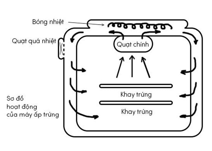Cấu tạo của máy ấp trứng công nghiệp