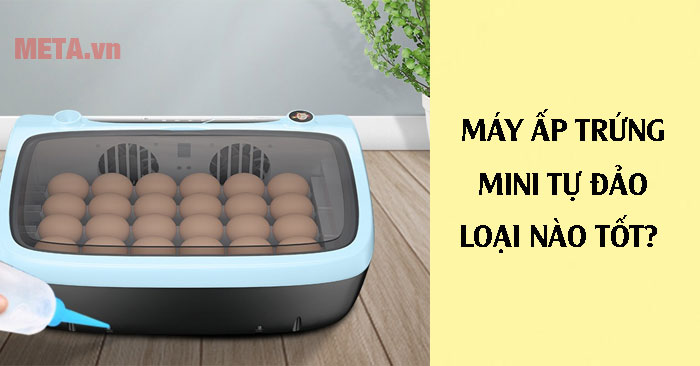  máy ấp trứng mini tự đảo loại nào tốt