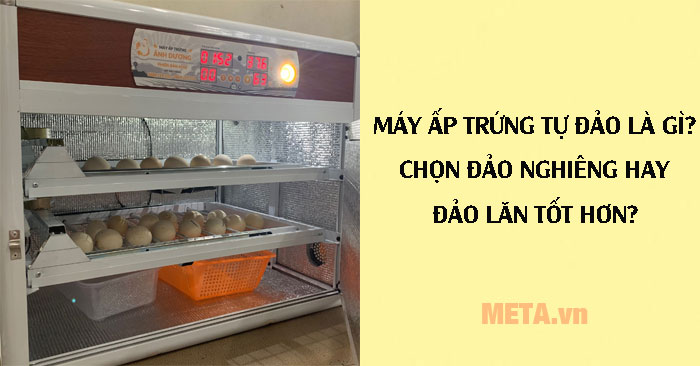 máy ấp trứng tự đảo là gì