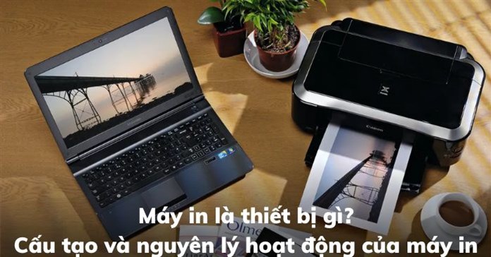 Máy in là thiết bị gì? Cấu tạo và nguyên lý hoạt động của máy in