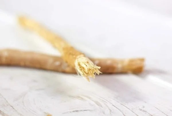 Que chải răng thời sơ khai