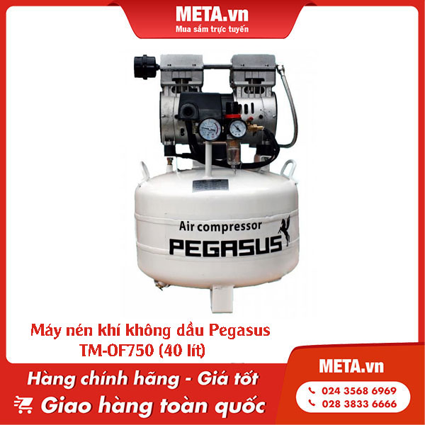 Máy nén khí không dầu Pegasus TM-OF750 (40 lít)