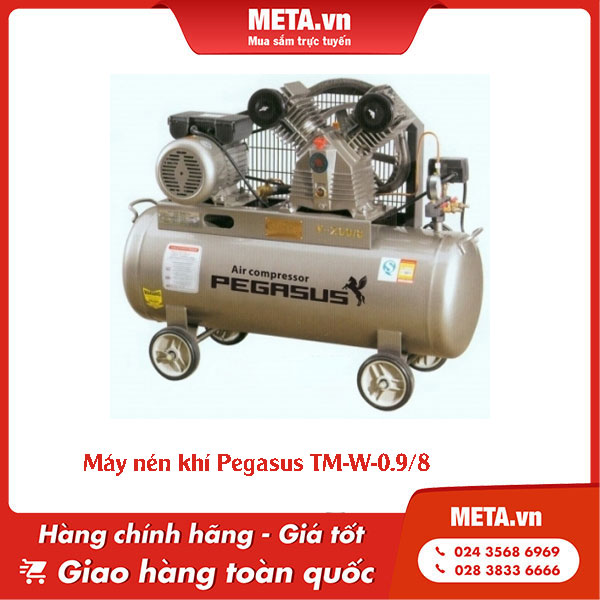Máy nén khí Pegasus TM-W-0.9/8
