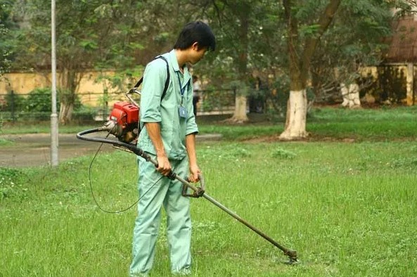 Máy cắt cỏ cần mềm giúp bạn giữ thăng bằng tốt hơn