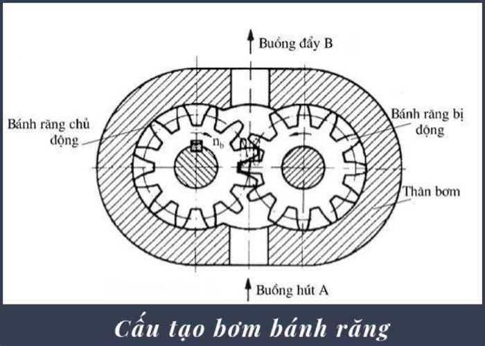 Máy bơm bánh răng