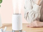 Tác hại của máy phun sương tạo ẩm bạn cần biết để tránh ngay
