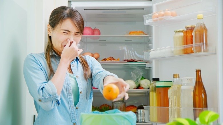 Tác hại tủ lạnh không đóng được cửa