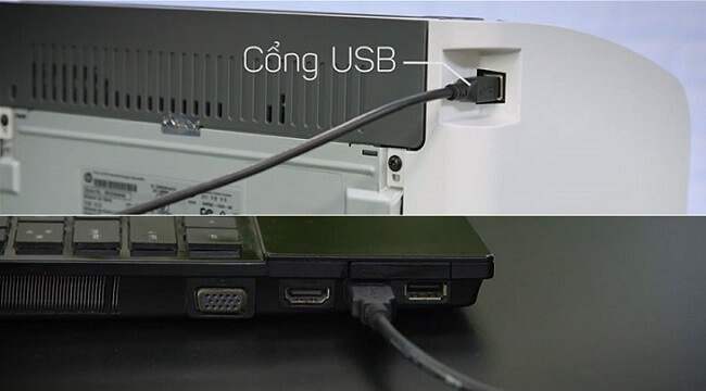 Kiểm tra dây cáp nối để sửa lỗi máy in bị offline