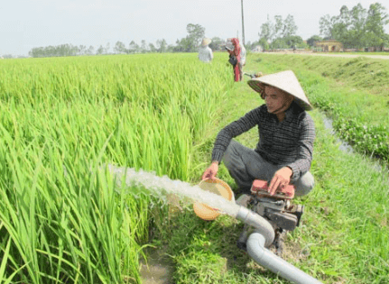 Ứng dụng của máy bơm nước chạy bằng xăng