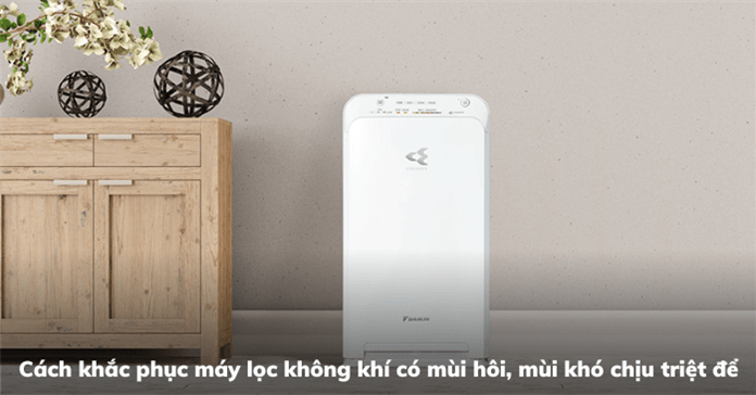 Cách khắc phục máy lọc không khí có mùi hôi, mùi khó chịu triệt để