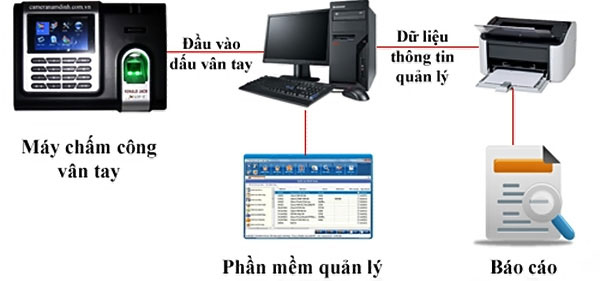 Nguyên lý hoạt động của máy chấm công vân tay