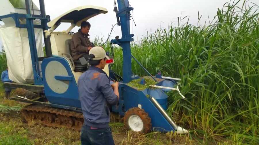 Đặc điểm của máy cắt cỏ voi cho bò