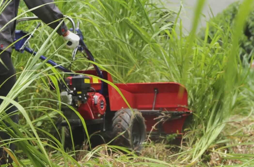 Những lưu ý khi mua máy thu hoạch cỏ voi