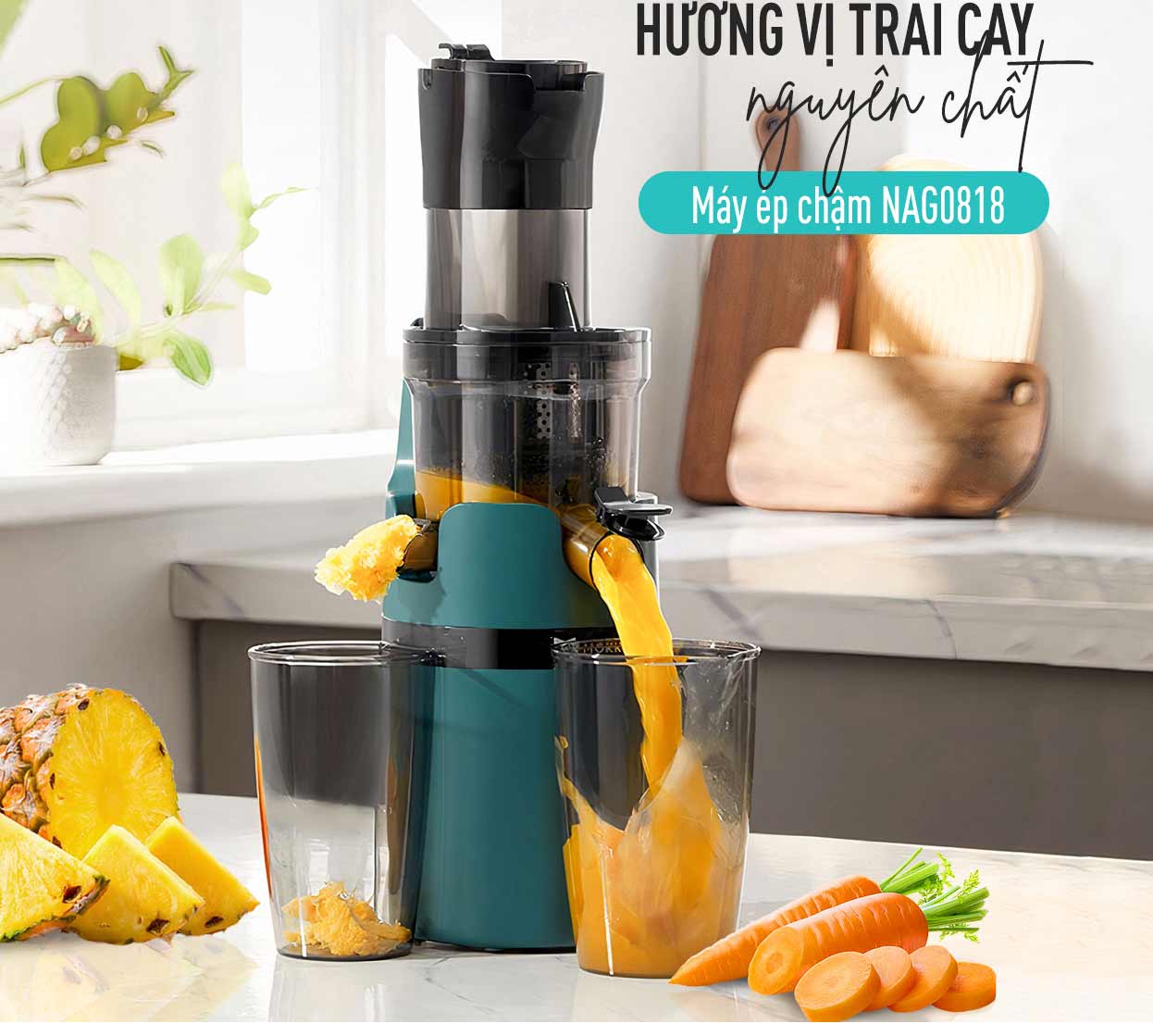 Máy ép chậm Nagakawa NAG0818