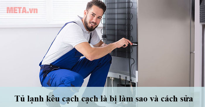 tủ lạnh kêu cạch cạch hay lạch cạch là bị sao