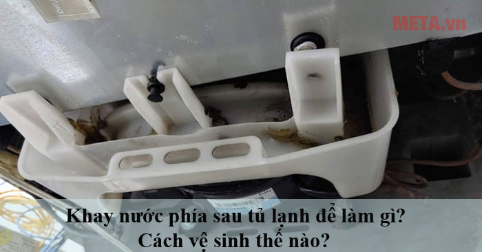 Khay nước phía sau tủ lạnh để làm gì
