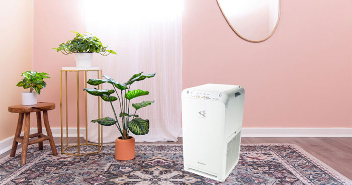 cách sửa máy lọc không khí Daikin