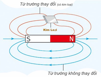 Nguyên lý hoạt động của máy dò kim loại