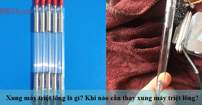 Xung máy triệt lông là gì