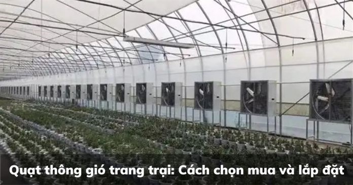 Quạt thông gió trang trại: Cách chọn mua và lắp đặt